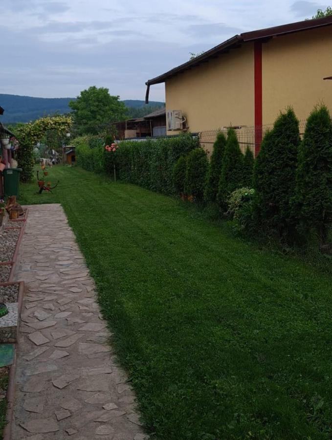 Отель Casa Ursului Bujoreni Экстерьер фото